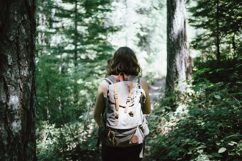 Top 10 Family Hikes in the Hudson Valley: Discover the Best Trails for Outdoor Adventures